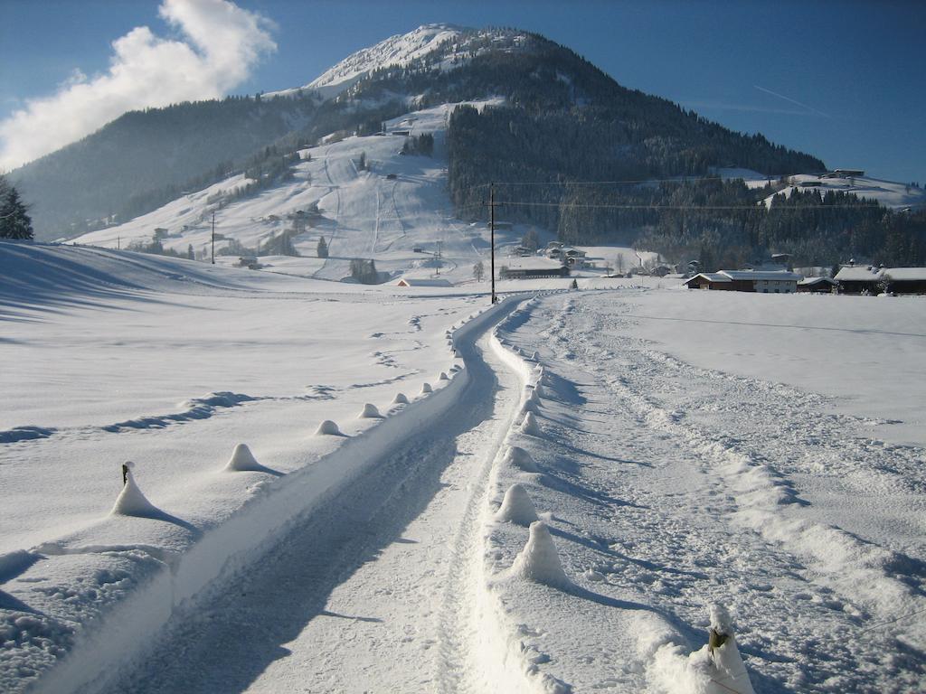 Alpenresidenz Adler Otel Kirchberg in Tirol Dış mekan fotoğraf